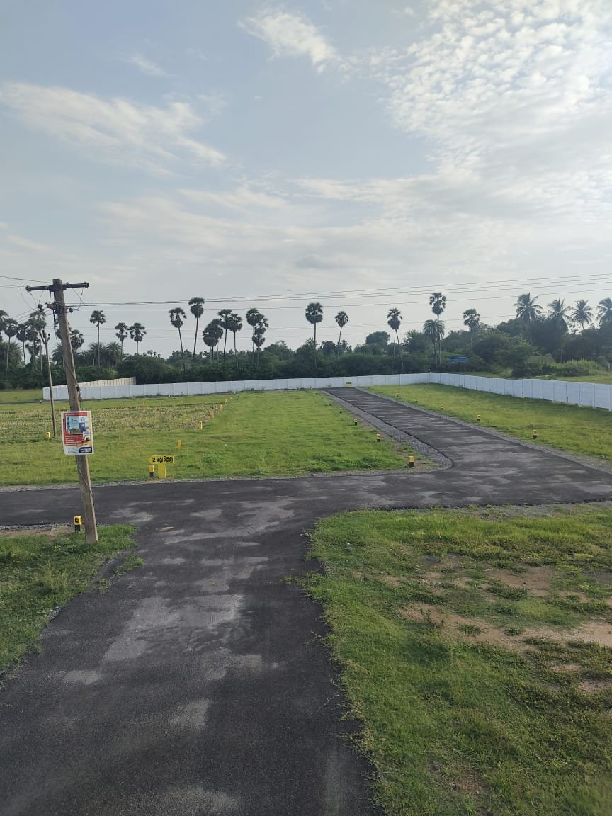 Road Facing Plots